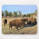 Suche nach bison mousepads Natur
