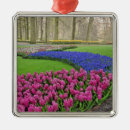 Suche nach tulpen ornamente Blau