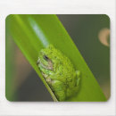 Suche nach grüne frösche mousepads Tier