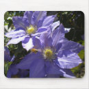 Suche nach clematis mousepads Lila