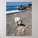 Suche nach zypern poster Strand