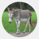 Suche nach maultiere aufkleber Natur