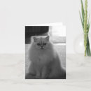 Suche nach pretty postkarten Animals