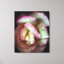 Suche nach zuneigung leinwandbilder Periode oder stil