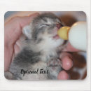 Suche nach neugeborenes baby mousepads Tier