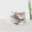 Suche nach rudolf karten Rudolph