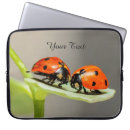 Suche nach ladybug laptop schutzhüllen Käfer