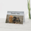 Suche nach jagdhunde karten Welpe