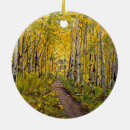 Suche nach mountainbike ornamente Weihnachten