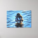 Suche nach vogelliebhaber leinwandbilder Tier