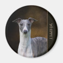 Suche nach reinrassig magnete Hund