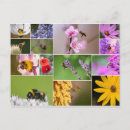 Suche nach gartenliebhaber postkarten Quelle