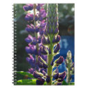Suche nach spiralen fotodruck Blume