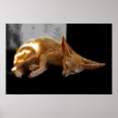 Suche nach fuchs kinder poster Tier