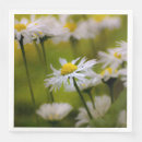Suche nach weißes blumenfoto Botanisch