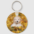 Suche nach goldendoodle goldendoodles schlüsselanhänger Welpe