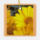 Suche nach daisy ornamente Gelb