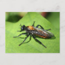 Suche nach insect postkarten Tierwelt