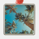 Suche nach tropisches weihnachten ornamente Ferien