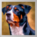Suche nach sennenhund poster Haustier