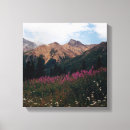 Suche nach fireweed poster Leinwand
