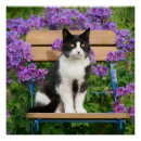 Suche nach katze mit blumen poster Für sie