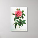 Suche nach botanik poster leinwandbilder Illustration