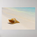 Suche nach maldives poster Sea
