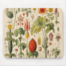 Suche nach vintages blumen mousepads Pflanze