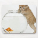 Suche nach goldfisch mousepads Spaß
