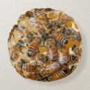 Suche nach honey kissen Bienenstock