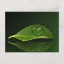 Suche nach wassertropfen postkarten Wassertröpfchen