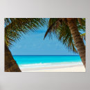 Suche nach palme poster Urlaub