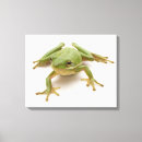 Suche nach grüner frosch leinwandbilder In voller länge