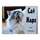 Suche nach katzen kalender 2021
