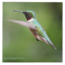 Suche nach rubin fliesen Vogel