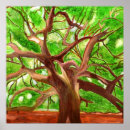 Suche nach eiche poster Natur