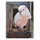 Suche nach vogelliebhaber notizbuch Rosa
