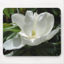 Suche nach magnolien mousepads Blume