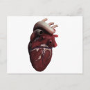 Suche nach arterie postkarten Von nahem