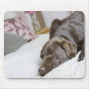 Suche nach bett mousepads Horizontal
