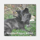 Suche nach grauer wolf magnete Grauwolf
