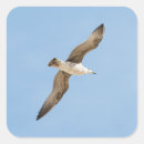 Suche nach möwe aufkleber Seegras