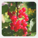 Suche nach bündel aufkleber Rot