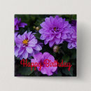 Suche nach kleine blumen buttons Rosa blume