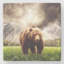 Suche nach grizzlybär untersetzer Berge