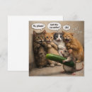 Suche nach katze und maus karten Lustig