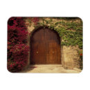 Suche nach palma magnete Mediterran