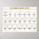 Suche nach quiz poster Wissenschaft