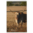 Suche nach tierkalender Fotografie